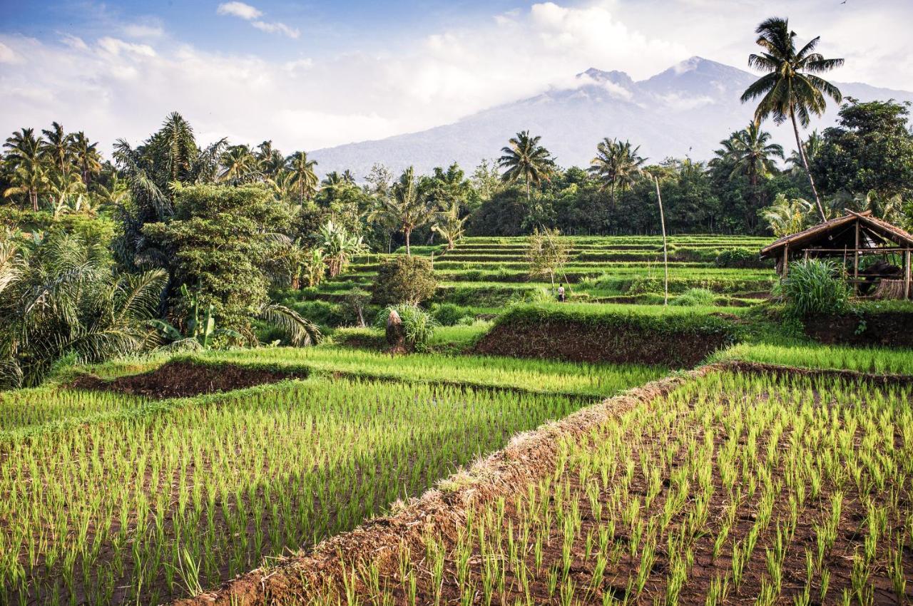 The Endless Summer Resort Bumbang Exteriér fotografie